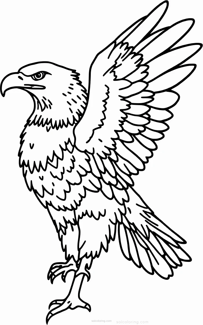 Eagle coloring page for kids