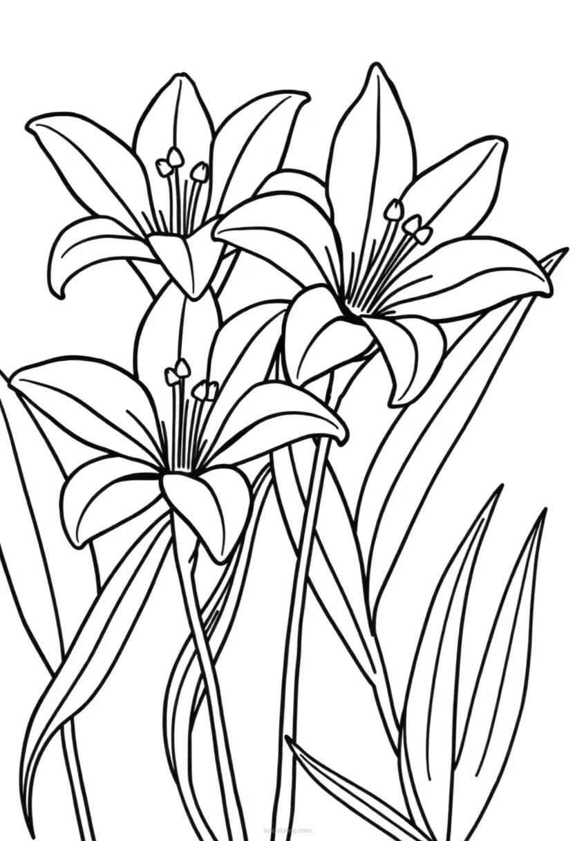 Easter Lily Flowers coloring page for kids