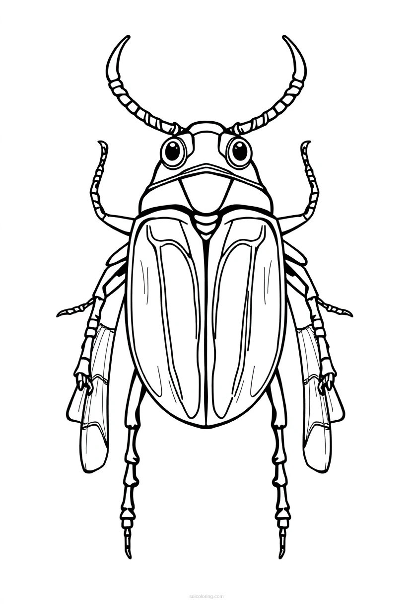 Egyptian Scarab Beetle coloring page for kids