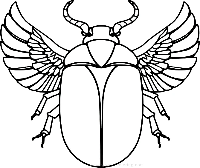 Egyptian Scarab Beetle Symbol coloring pages