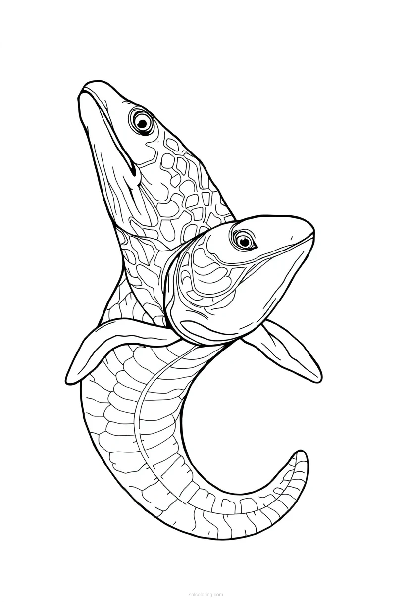 Electric Eel coloring page for kids