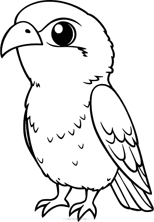 Falcon coloring page for kids
