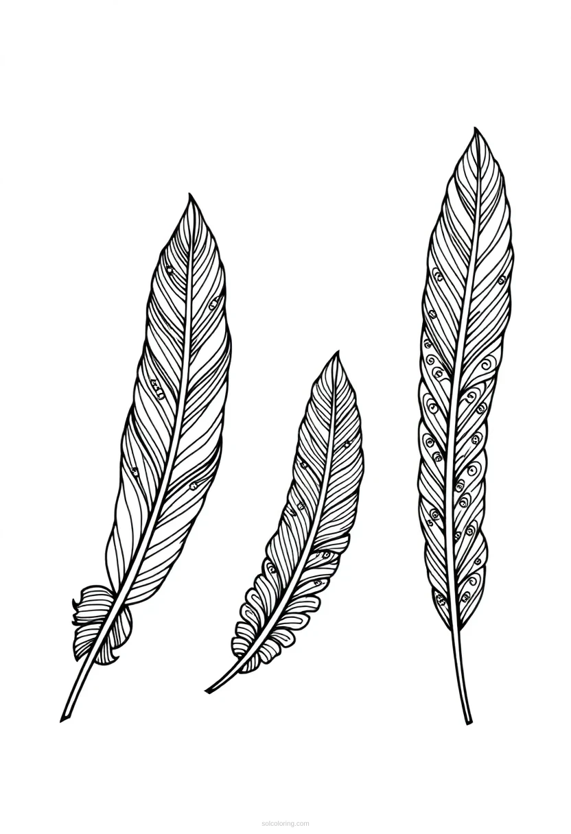 Feather Zentangle Motifs coloring page for kids