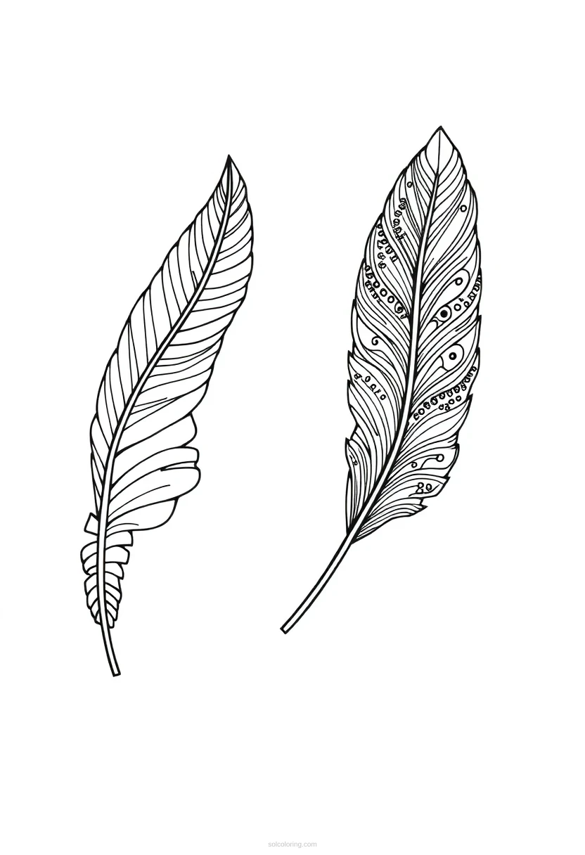 Feather Zentangle Motifs coloring page for kids