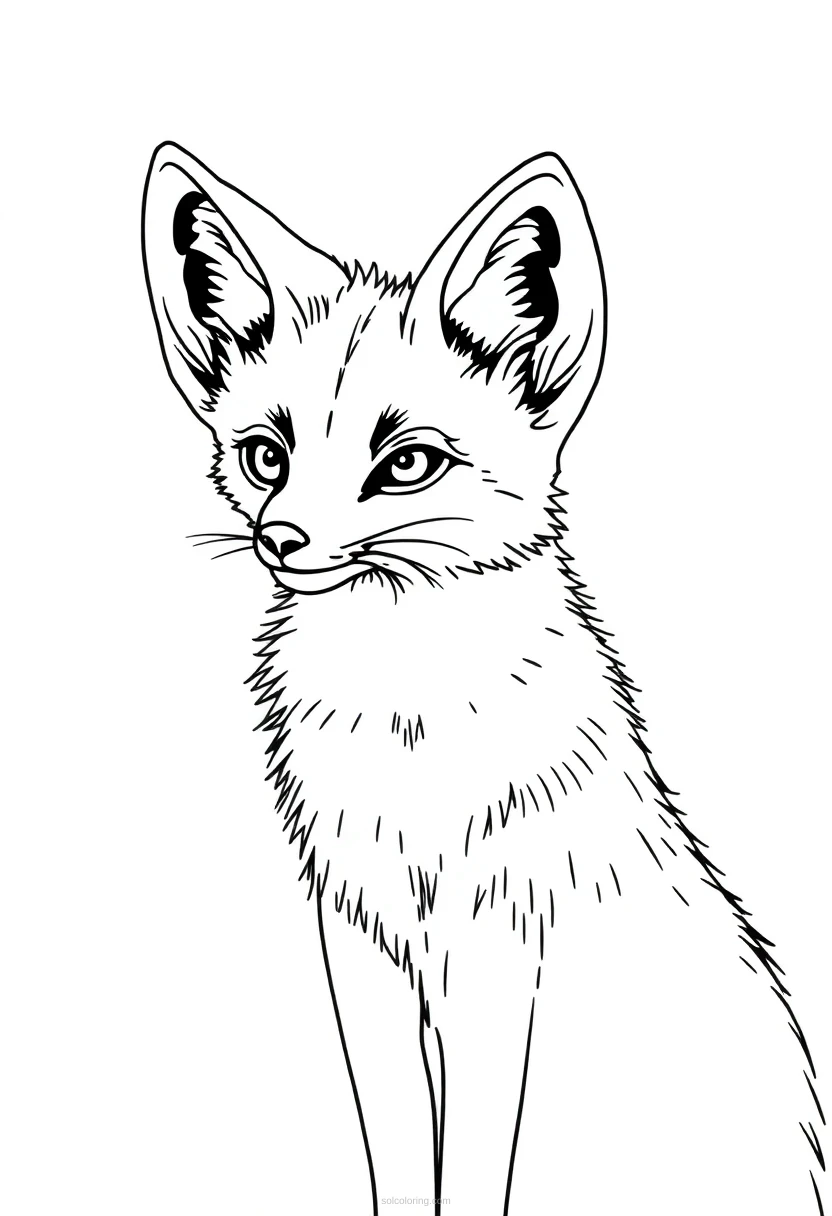 Fennec Fox coloring page for kids