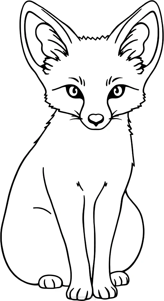 Fennec Fox coloring page for kids