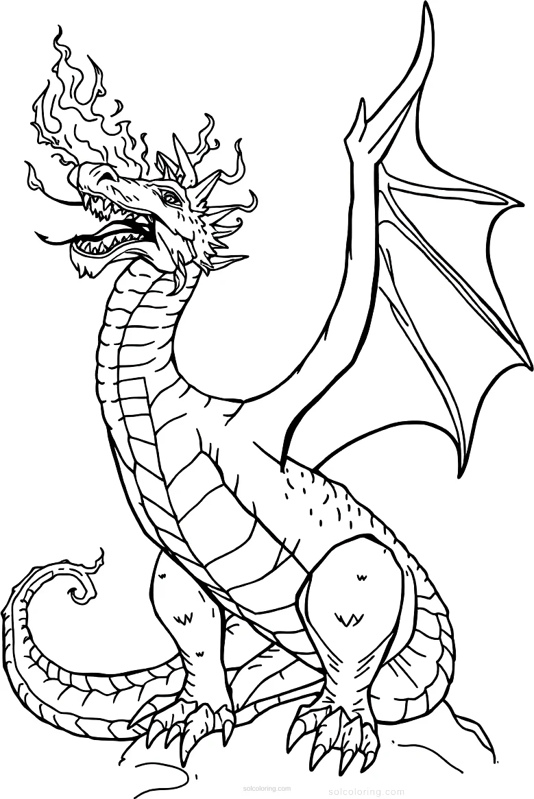 Fire Breathing Dragon coloring pages