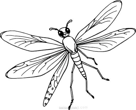 Firefly coloring page for kids