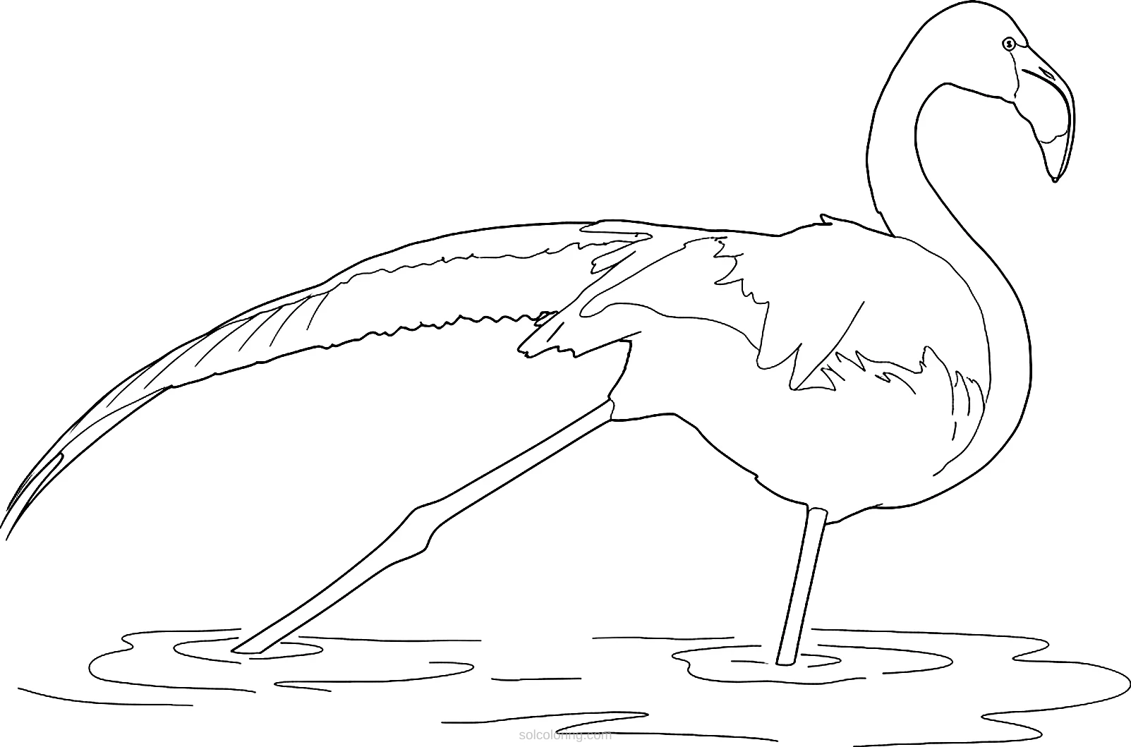 Flamingo coloring page for kids
