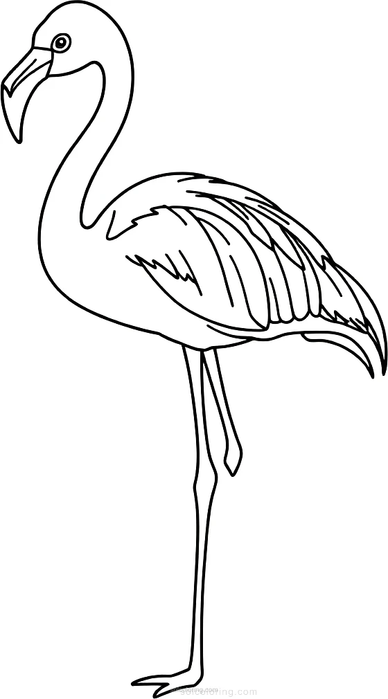 Flamingo coloring page for kids