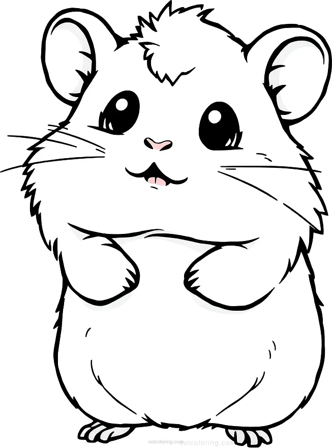 Fluffy Hamster coloring page for kids