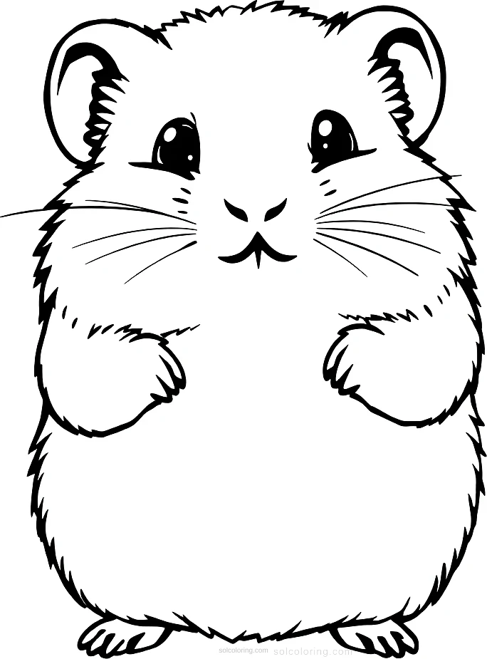 Fluffy Hamster coloring page for kids