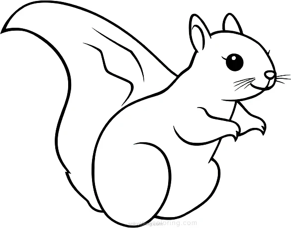 Flying Squirrel coloring page for kids