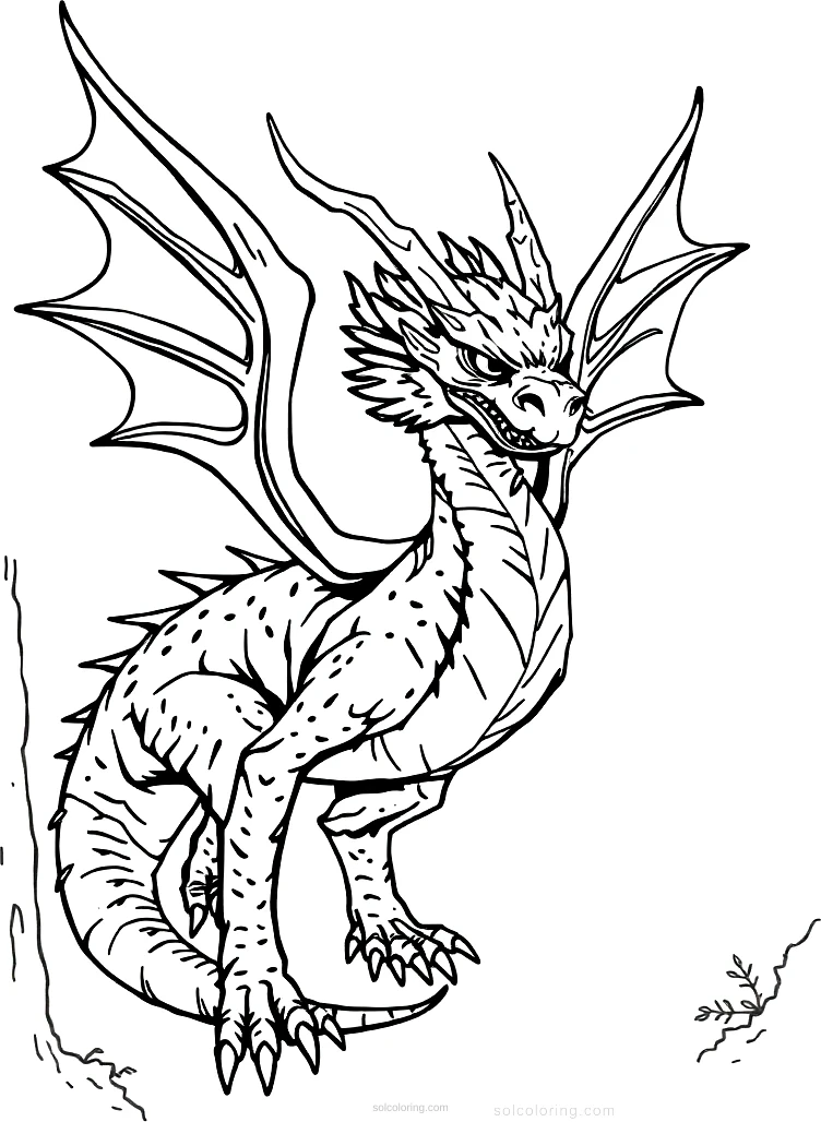 Forest Dragon coloring pages