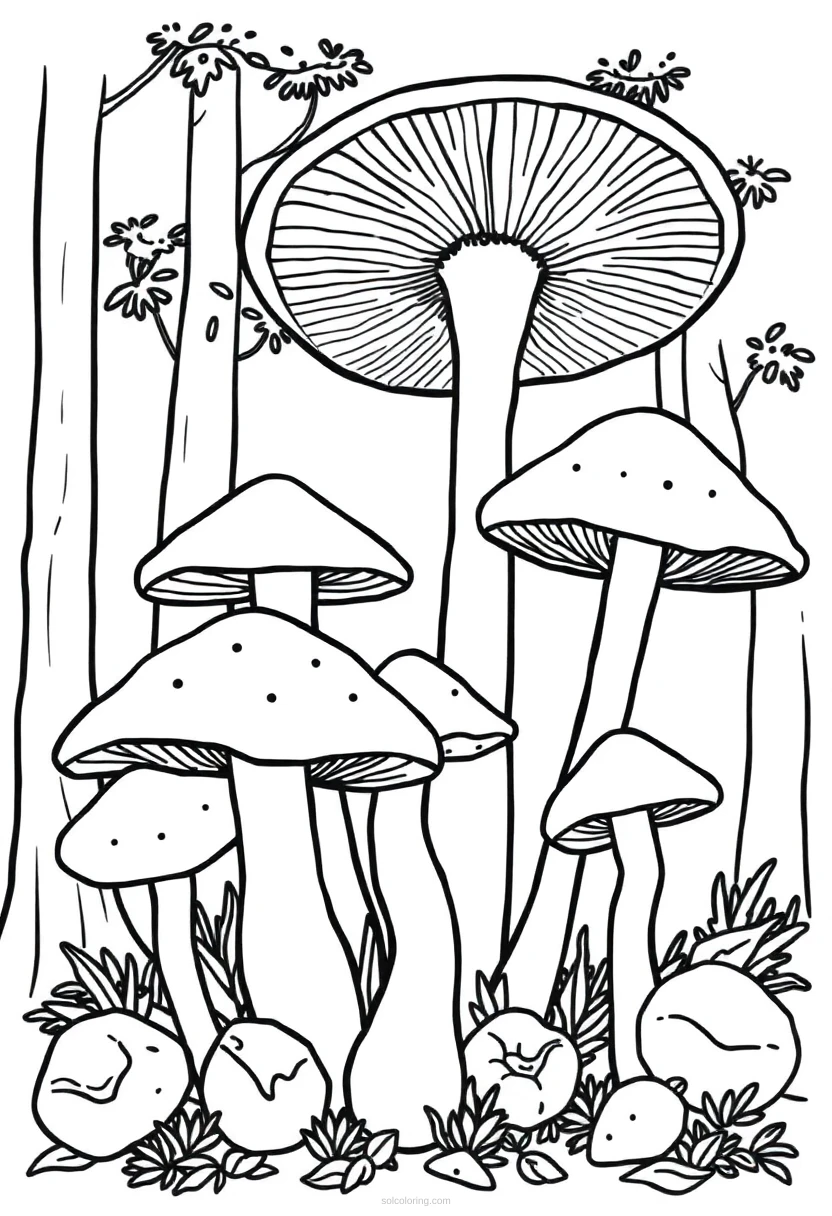 Forest Mushrooms coloring page for kids