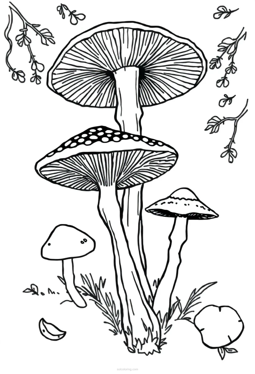Forest Mushrooms coloring page for kids