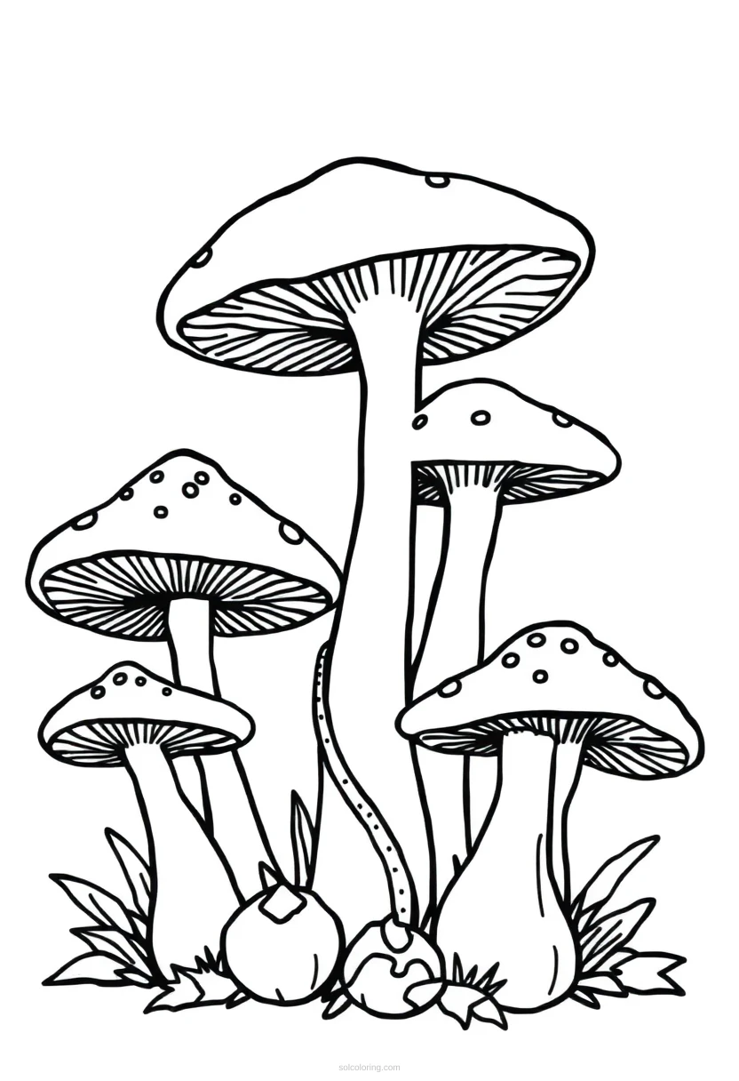 Forest Mushrooms coloring page for kids