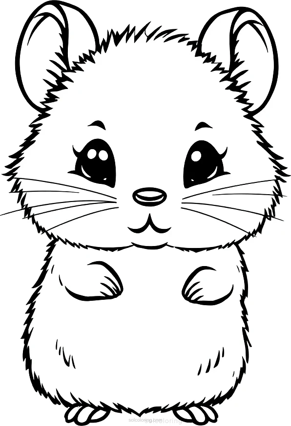 Fuzzy Chinchilla coloring page for kids