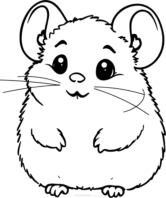 Fuzzy Chinchilla coloring page for kids