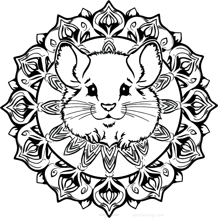 Fuzzy Chinchilla coloring page for kids