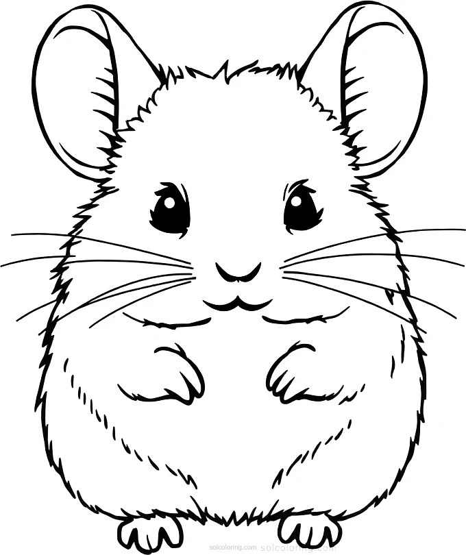 Fuzzy Chinchilla coloring page for kids