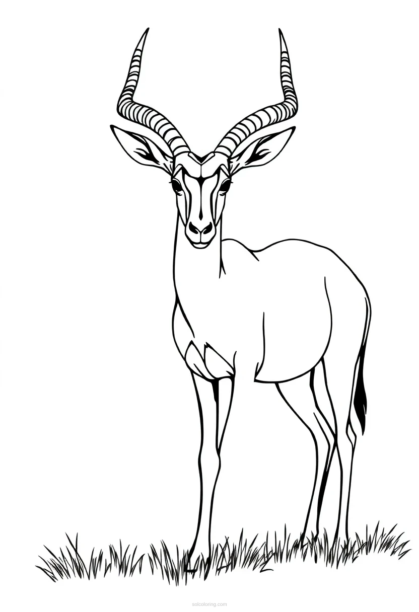 Gazelle coloring page for kids