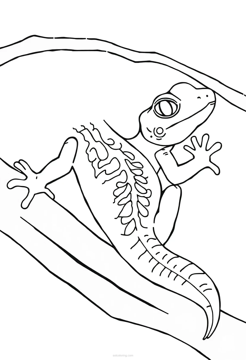 Gecko coloring page for kids