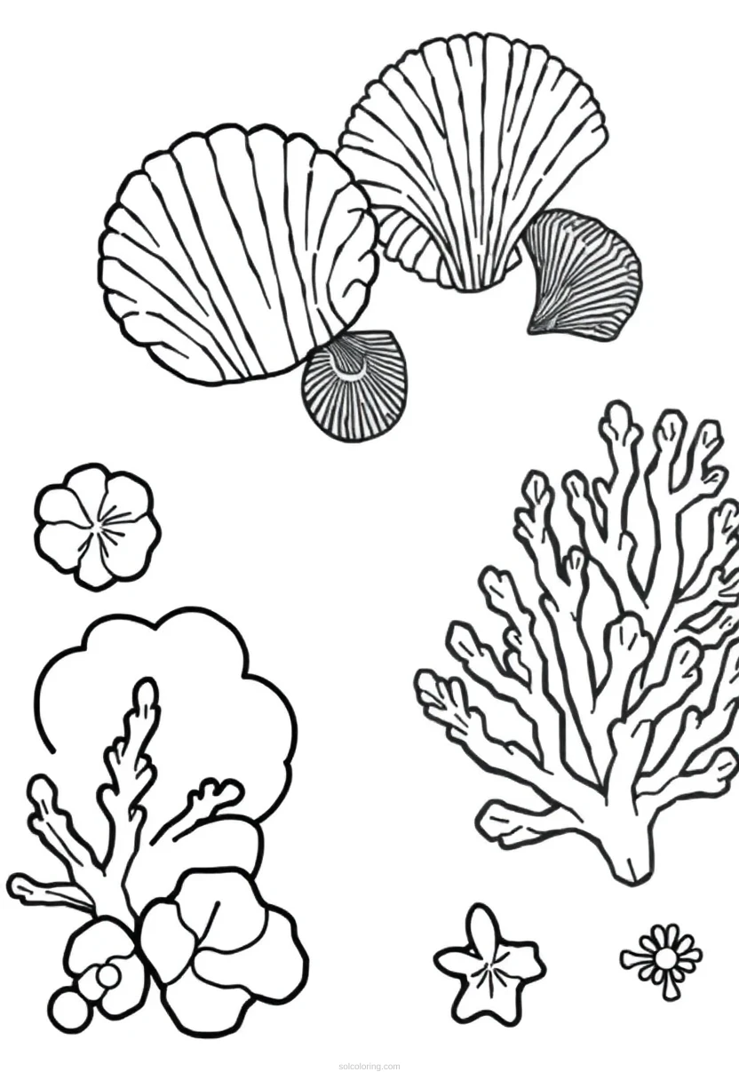 Geometric Seashells and Coral coloring page for kids