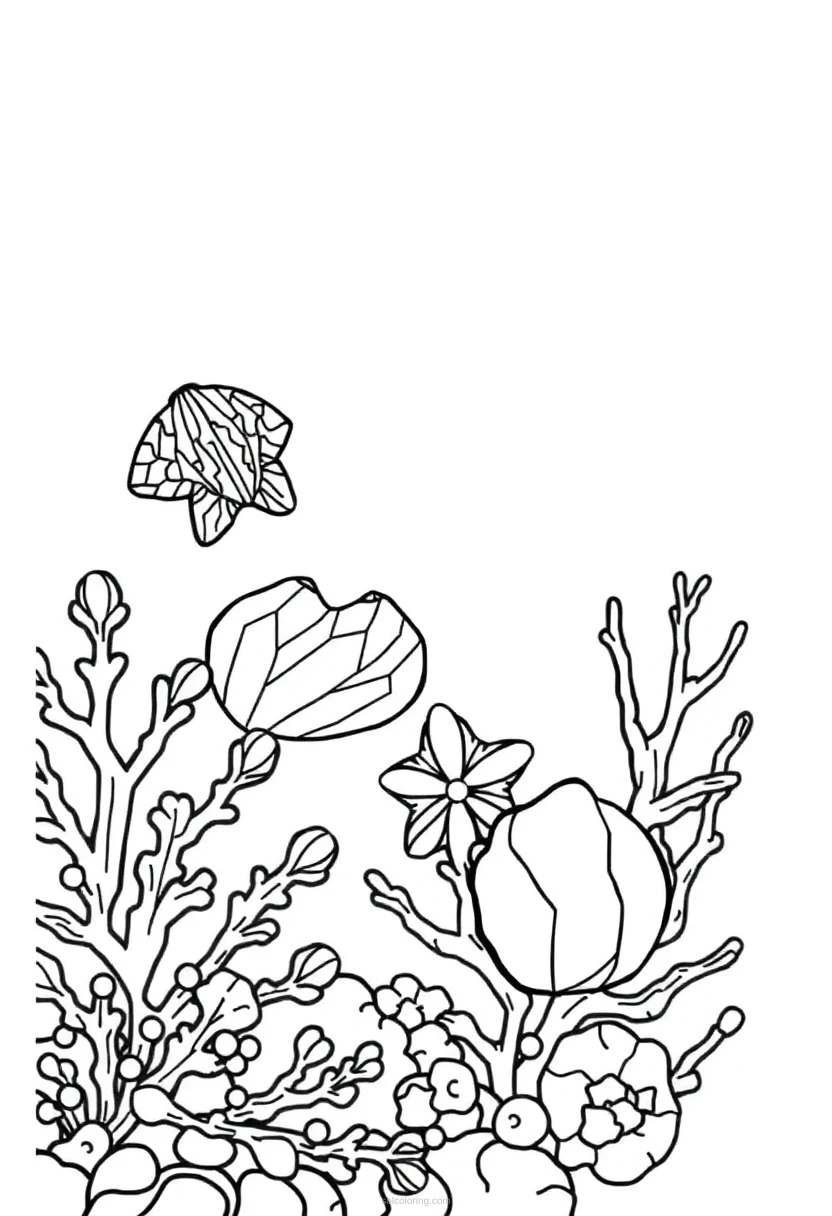Geometric Seashells And Coral coloring pages