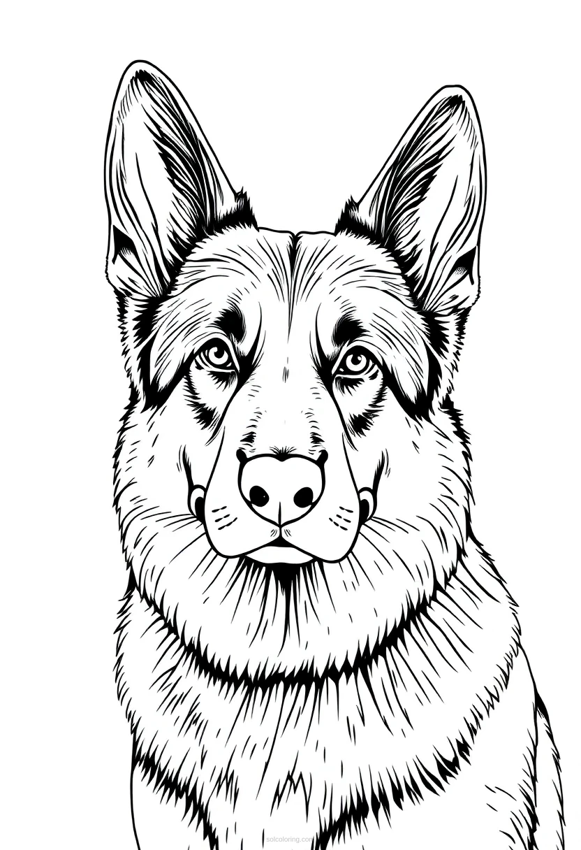German Shepherd coloring page for kids