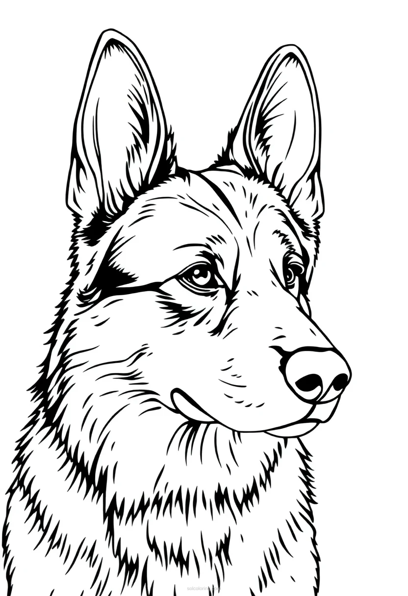 German Shepherd coloring page for kids