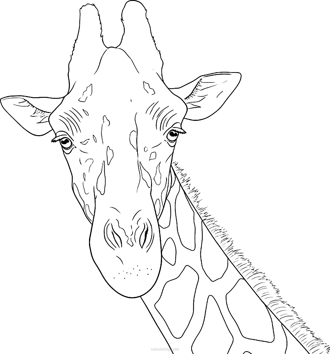 Giraffe coloring page for kids