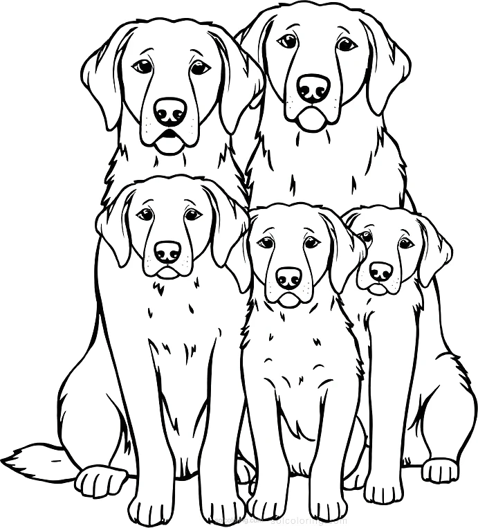 Golden Retriever Family coloring page for kids