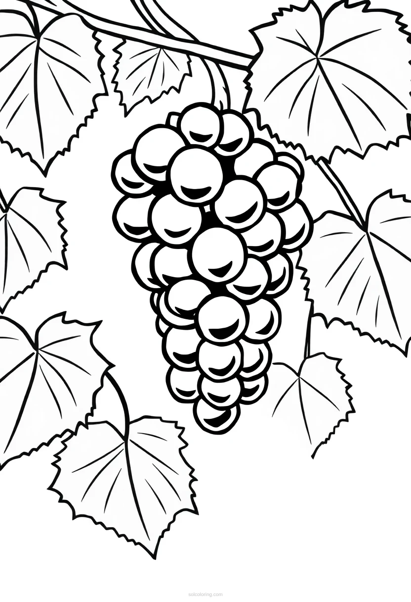Grapes on Vine coloring page for kids