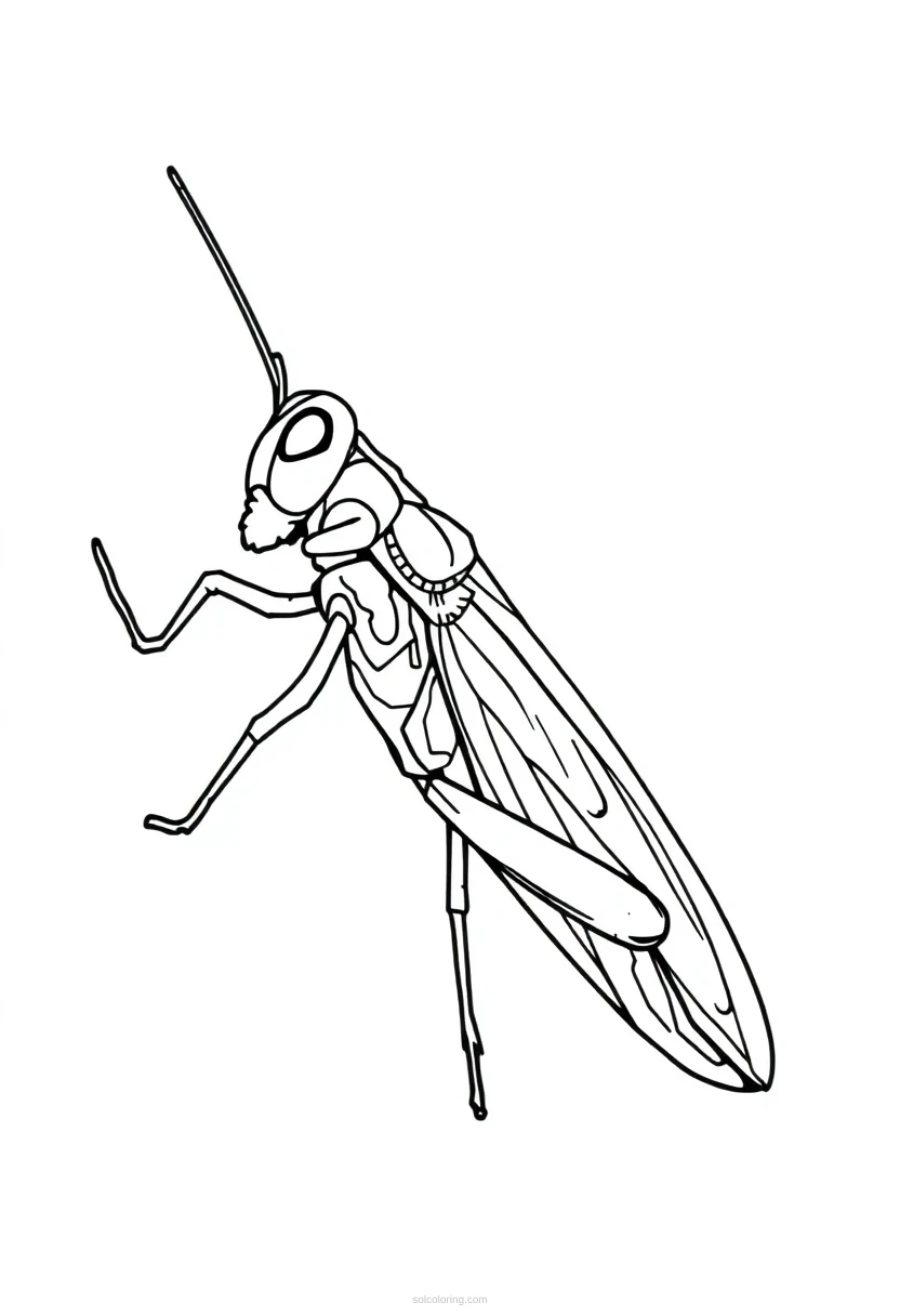 Grasshopper coloring page for kids