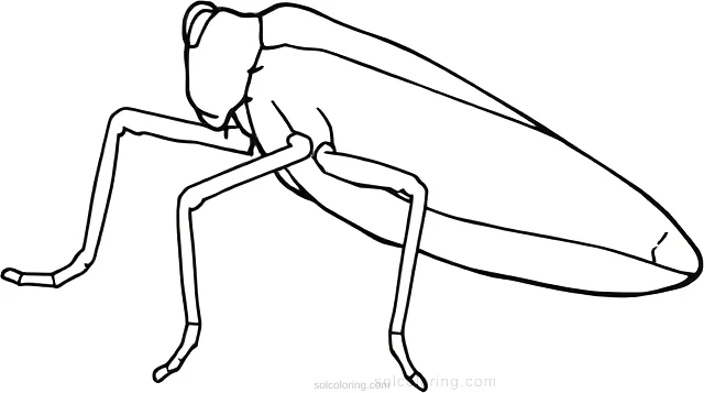 Grasshopper coloring page for kids