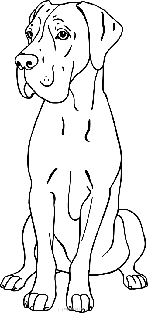 Great Dane Giant Gentle Dog coloring page for kids