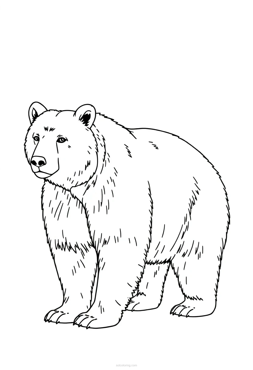 Grizzly Bear Standing coloring page for kids