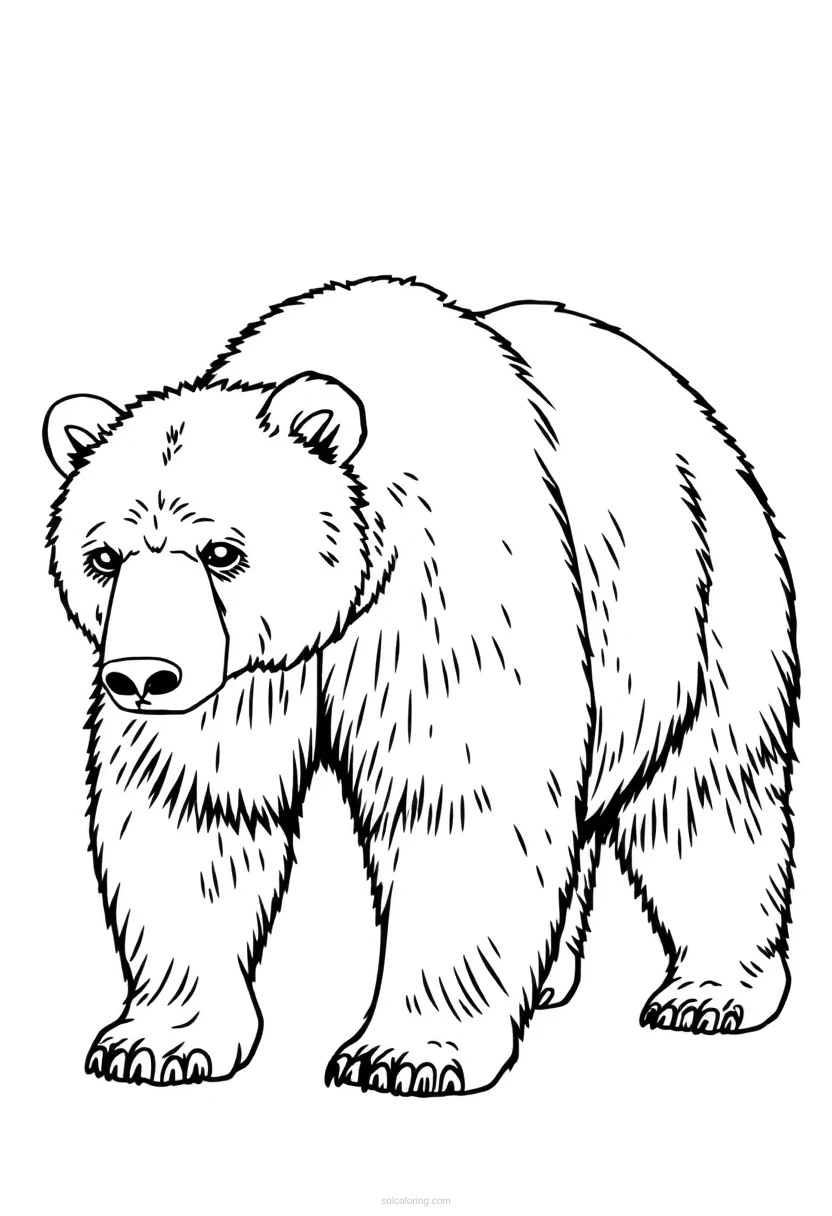 Grizzly Bear Standing coloring page for kids