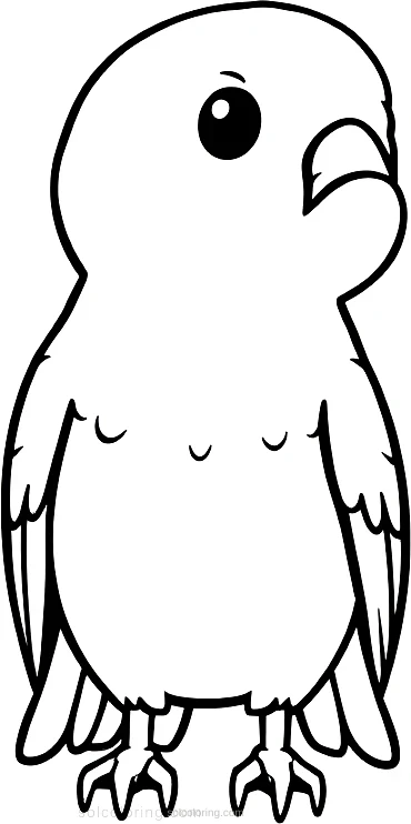 Hawk coloring page for kids