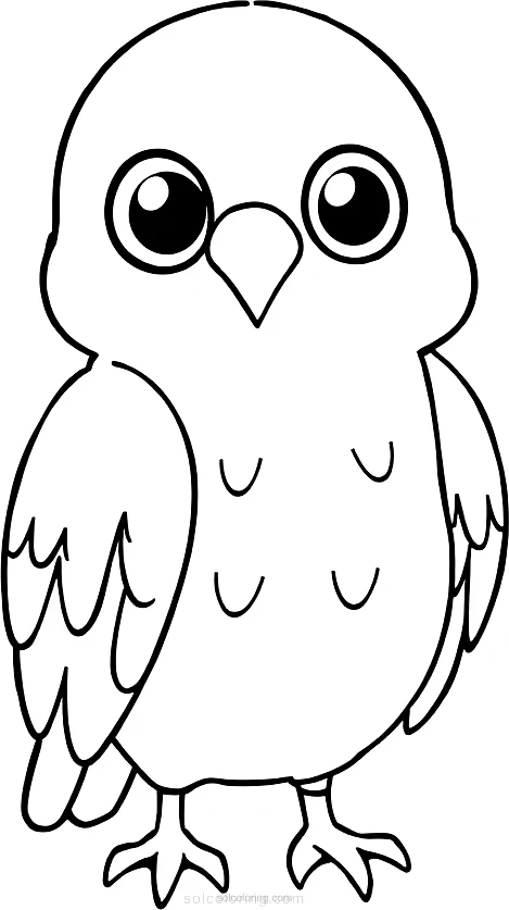 Hawk coloring page for kids