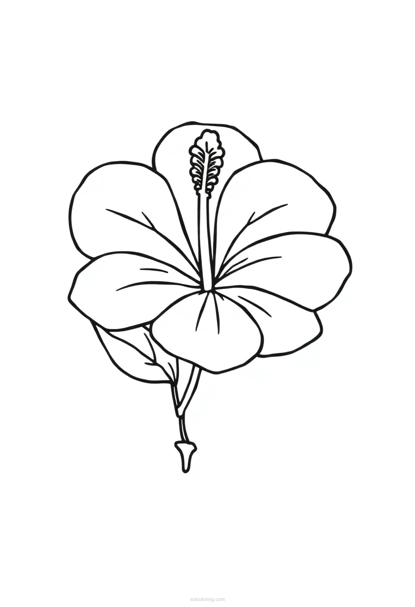 Hibiscus Chibi coloring page for kids