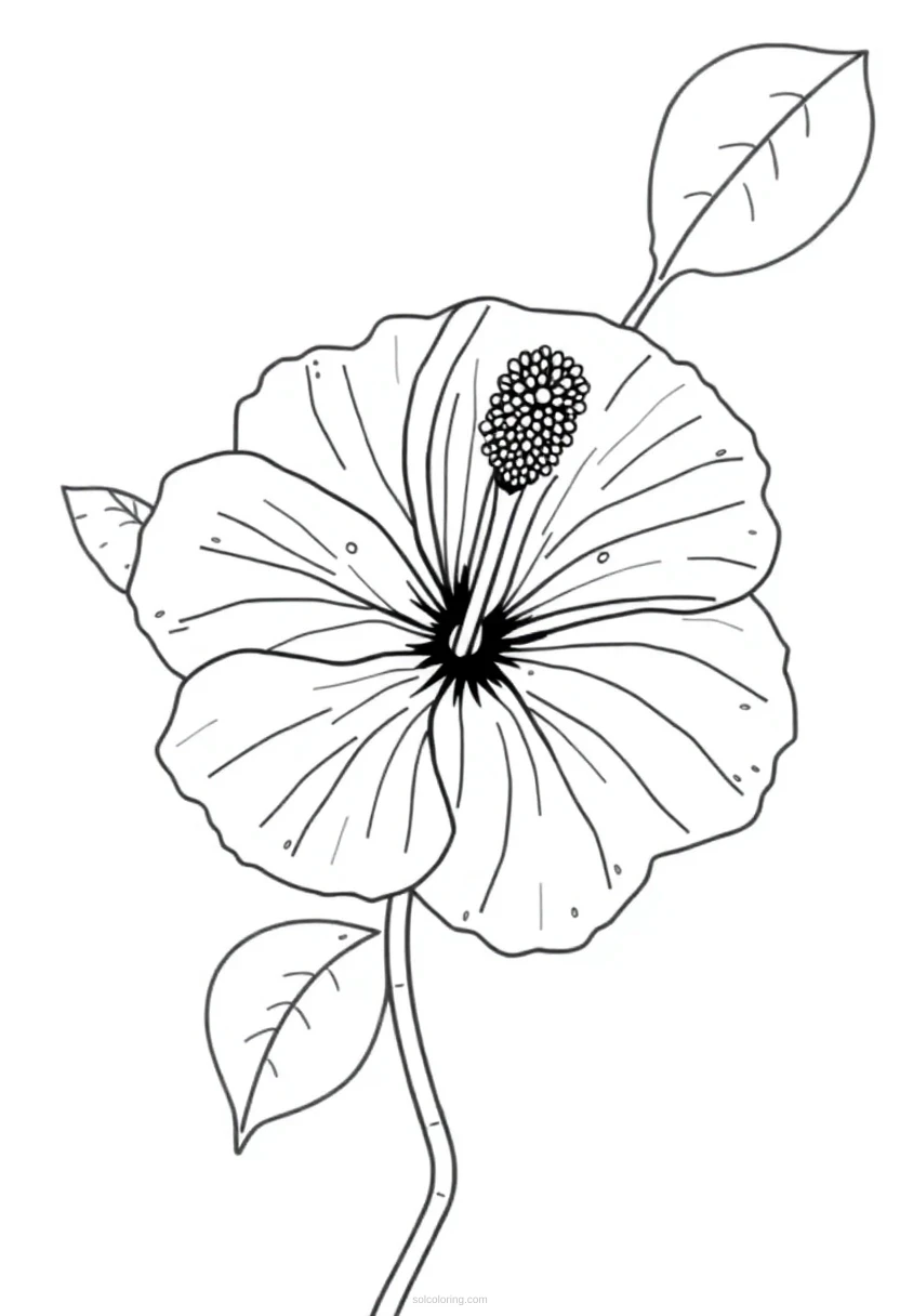 Hibiscus Chibi coloring page for kids