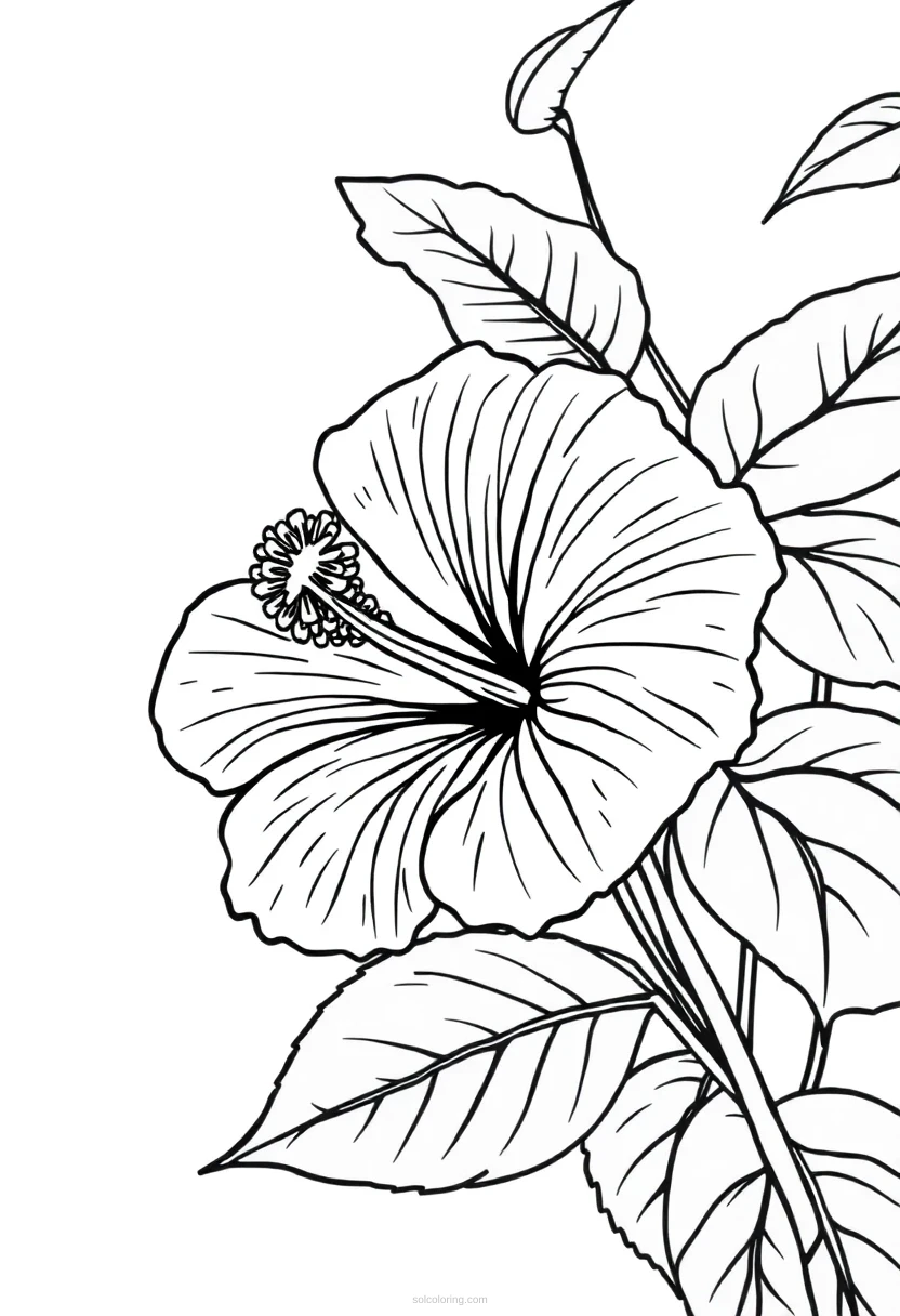 Hibiscus Chibi coloring pages
