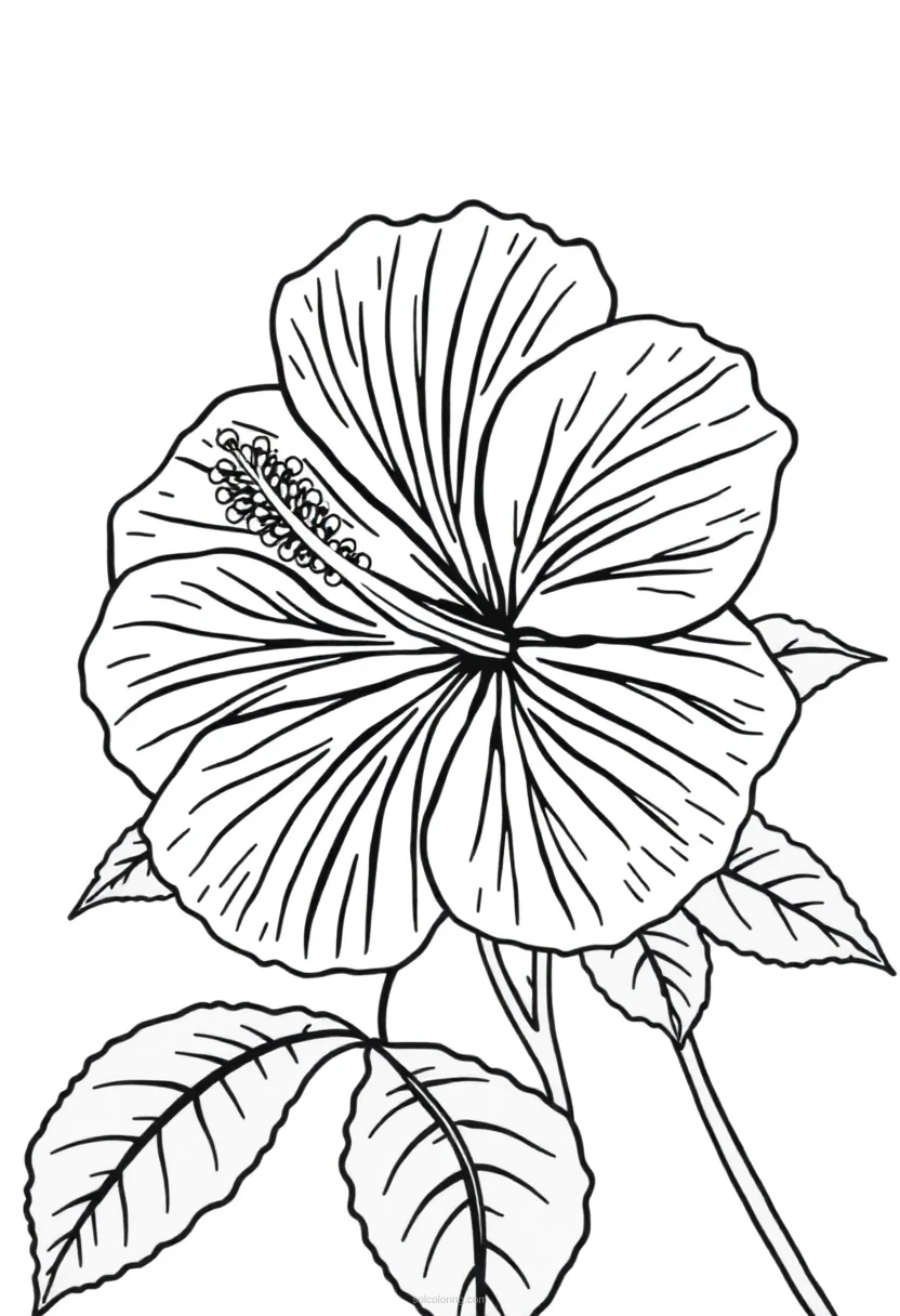 Hibiscus Cute Cartoon coloring page for kids