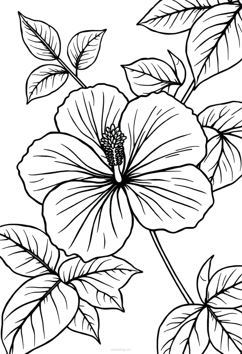 Hibiscus coloring page for kids