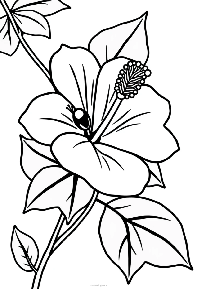 Hibiscus coloring page for kids