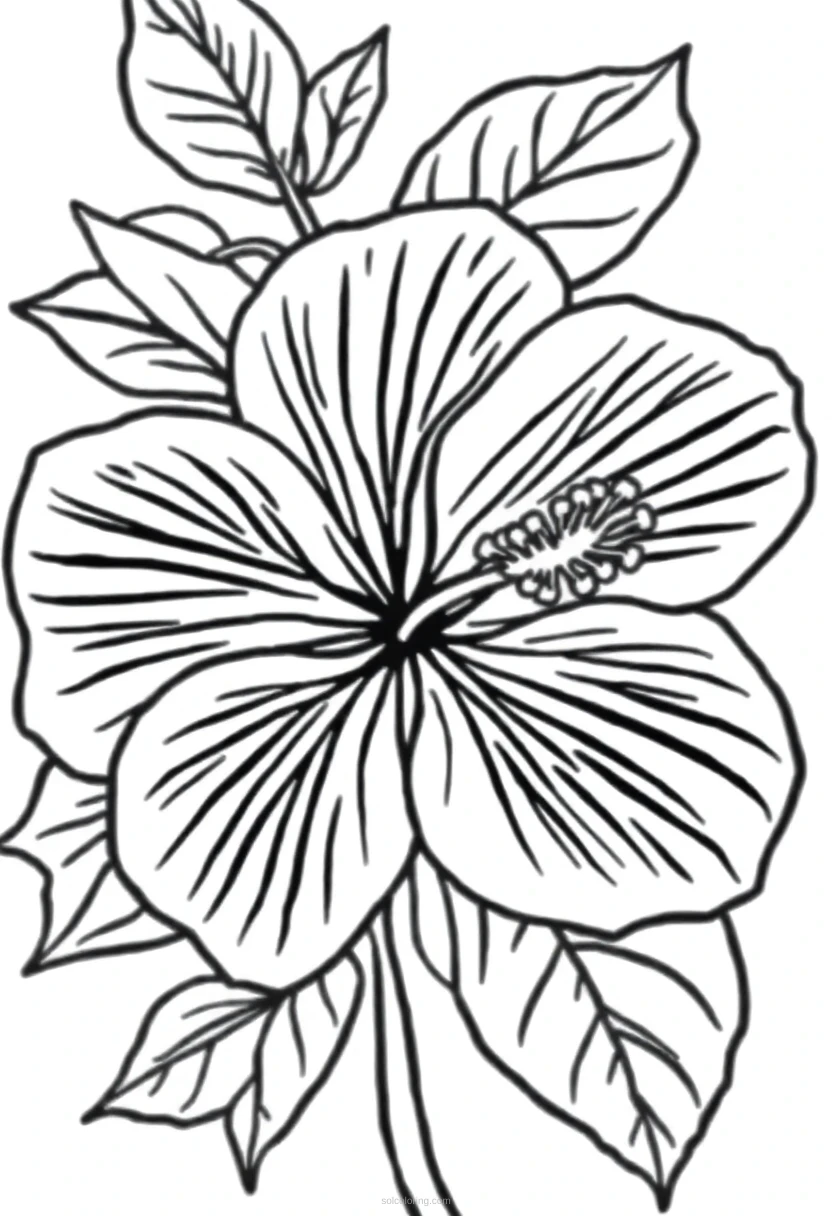 Hibiscus coloring page for kids