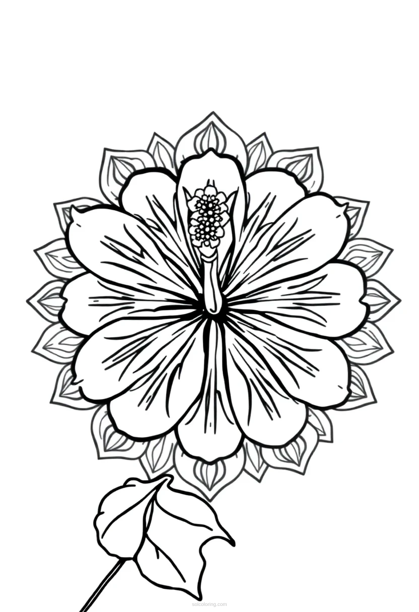 Hibiscus coloring page for kids