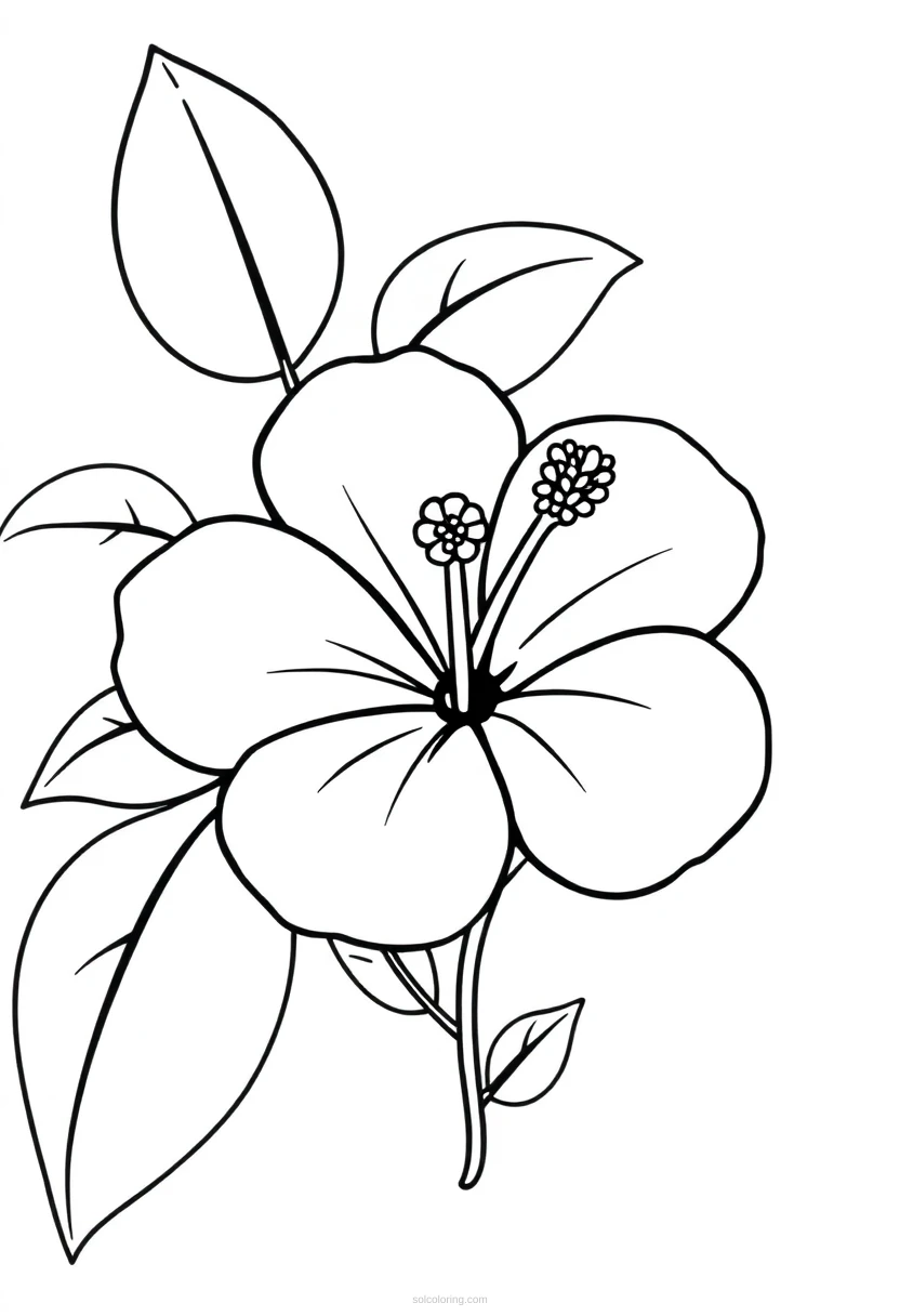 Hibiscus Simple coloring page for kids